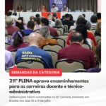 211ª PLENA aprova encaminhamentos para as carreiras docente e técnico-administrativa